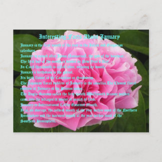 Postal Hechos interesantes sobre enero