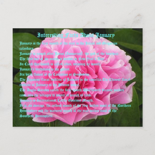 Postal Hechos interesantes sobre enero (Anverso)