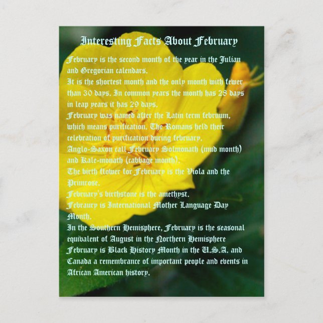 Postal Hechos interesantes sobre febrero (Anverso)