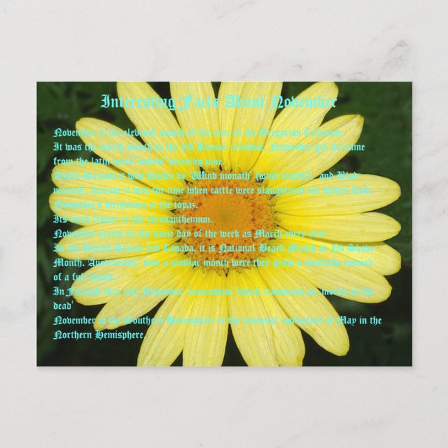 Postal Hechos interesantes sobre noviembre (Anverso)