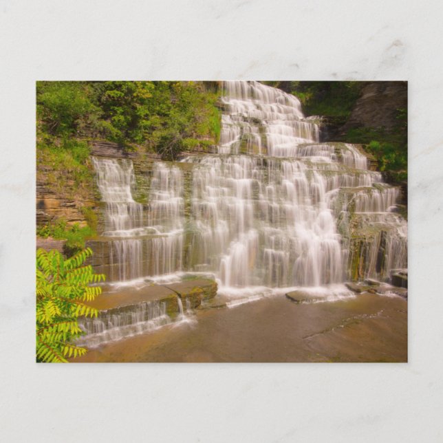 Postal Hector Falls, Nueva York (Anverso)