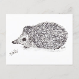 POSTAL HEDGEHOG