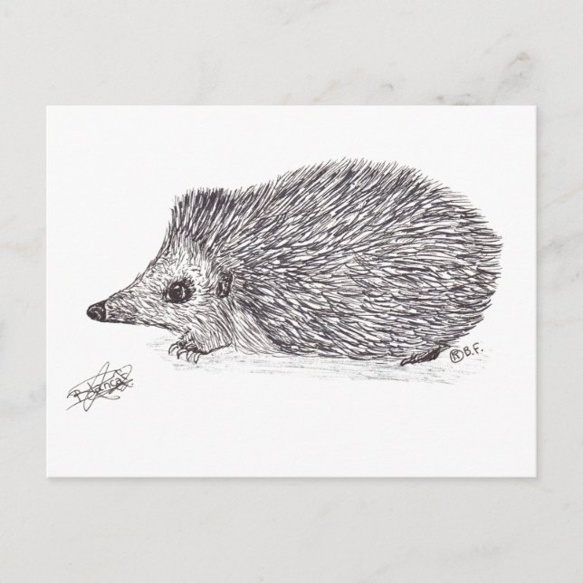 POSTAL HEDGEHOG (Anverso)