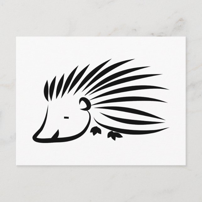 Postal Hedgehog (Anverso)