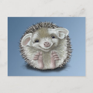 Postal Hedgehog
