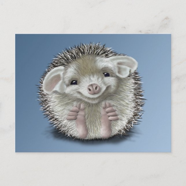 Postal Hedgehog (Anverso)