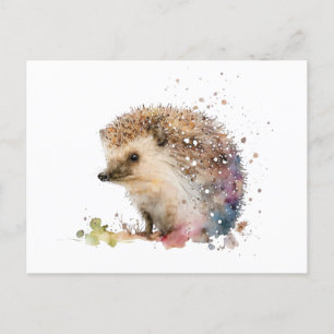 Postal Hedgehog acuarela con colores cálidos