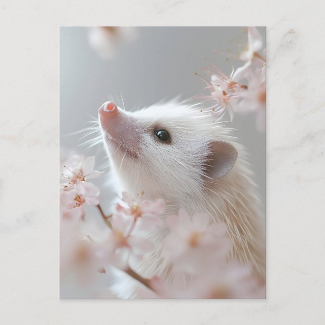 Postal Hedgehog Adorable Entre Flores De Primavera (Anverso)