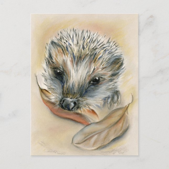 Postal Hedgehog con hojas de otoño (Anverso)