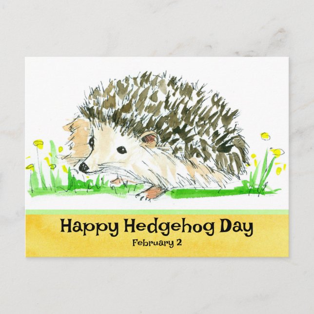 Postal Hedgehog Day Febrero 2 Fiestas Nacionales (Anverso)