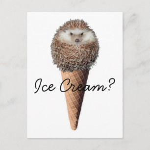 Postal Hedgehog Ice Cream