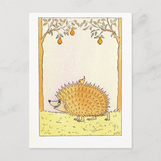 Postal "Hedgehog - Ilustracion de época (Anverso)