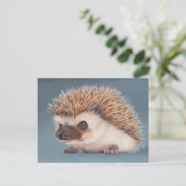 Postal Hedgehog Postcard