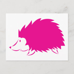 Postal Hedgehog rosa caliente