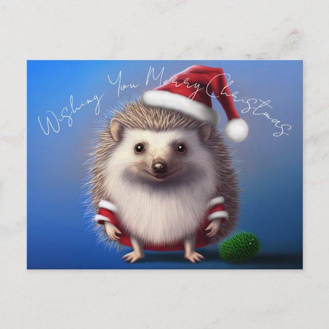 Postal Hedgehog Santa Claus Postcard (Anverso)
