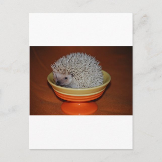 Postal Hedgehog Sundae (Anverso)