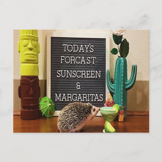 Postal Hedgehog Sunscreen y Margaritas (Anverso)