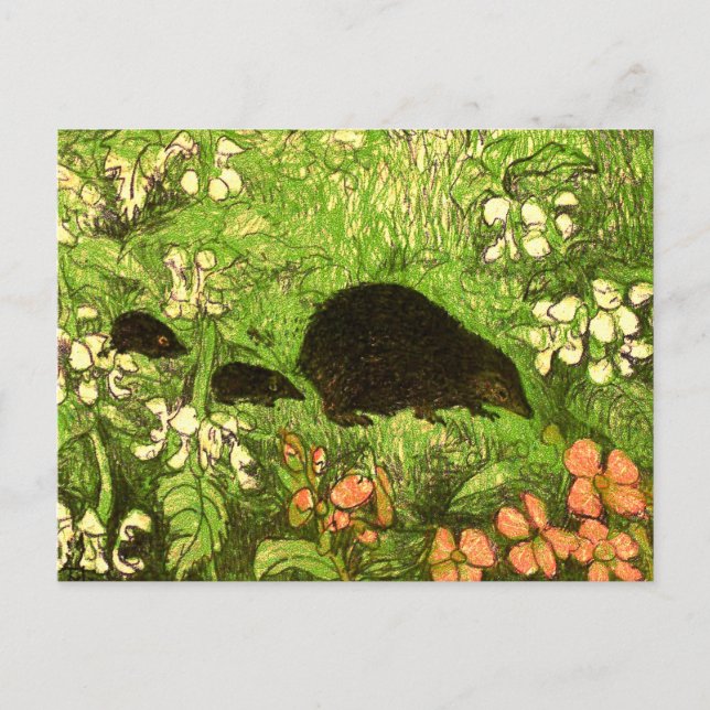 Postal Hedgehog y bebés de estilo Art Nouveau de los País (Anverso)