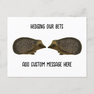 Postal Hedgehogs casándose - boda divertida de Hedgehog