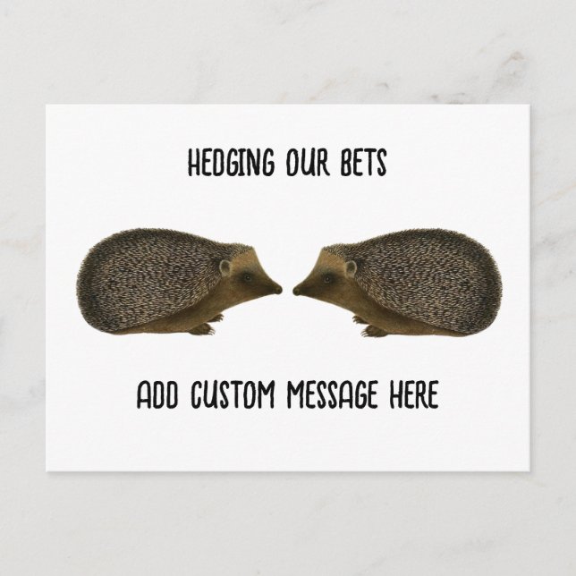 Postal Hedgehogs casándose - boda divertida de Hedgehog (Anverso)