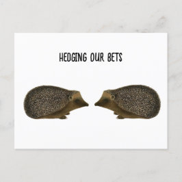 Postal Hedgehogs casándose - boda divertida de Hedgehog