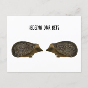 Postal Hedgehogs casándose - boda divertida de Hedgehog