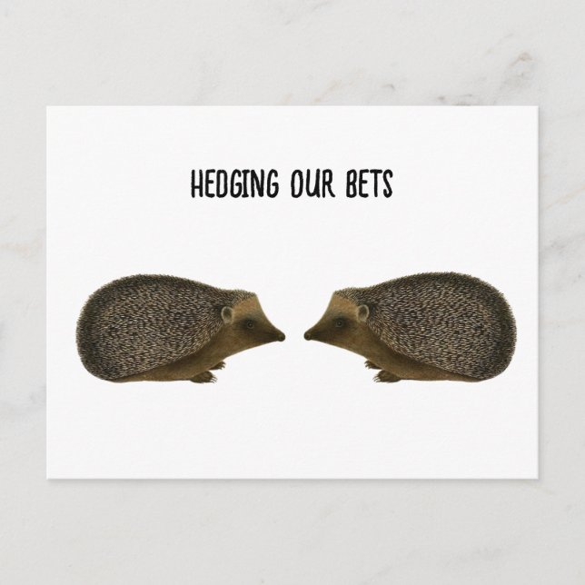 Postal Hedgehogs casándose - boda divertida de Hedgehog (Anverso)