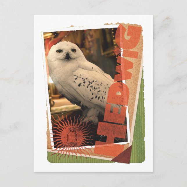 Postal Hedwig 1 (Anverso)