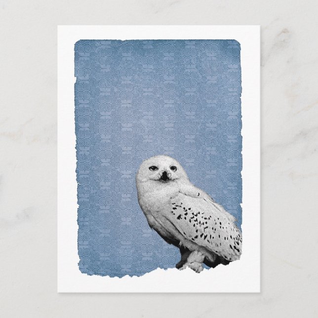 Postal Hedwig 2 (Anverso)