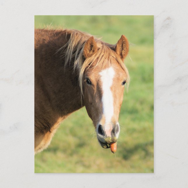 Postal Heeya, qué pasa doc (Anverso)