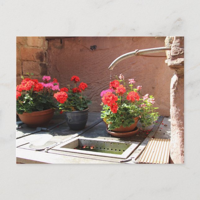 Postal Heidelberg Sink (Anverso)
