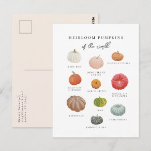 Postal Heirloom Pumpkins Cae