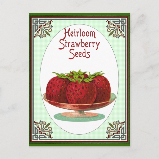 Postal Heirloom Strawberry Seeds (Anverso)