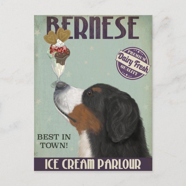 Postal Helado de Bernese (Anverso)