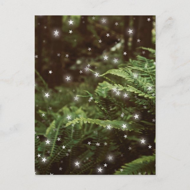 Postal helechos de cuento de hadas en el bosque estrellas (Anverso)