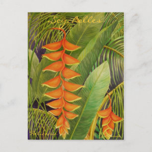 Postal Heliconia