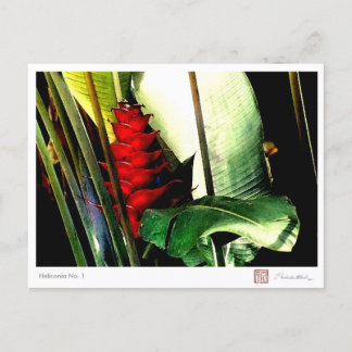 Postal Heliconia Nº 1