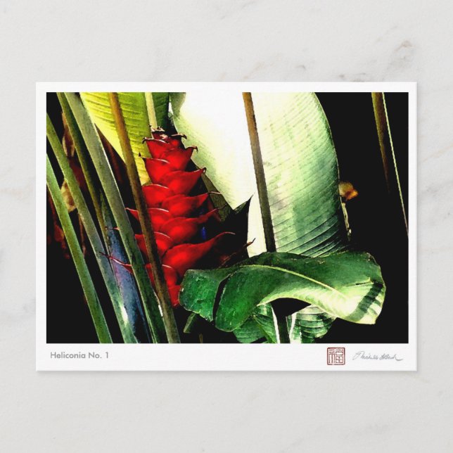 Postal Heliconia Nº 1 (Anverso)