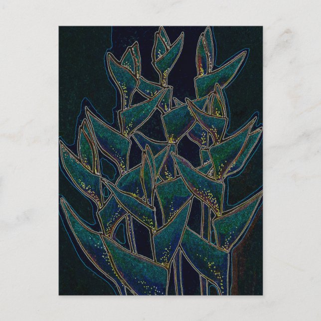 Postal Heliconia Rostrata Flores Tropicales Floral Negro (Anverso)