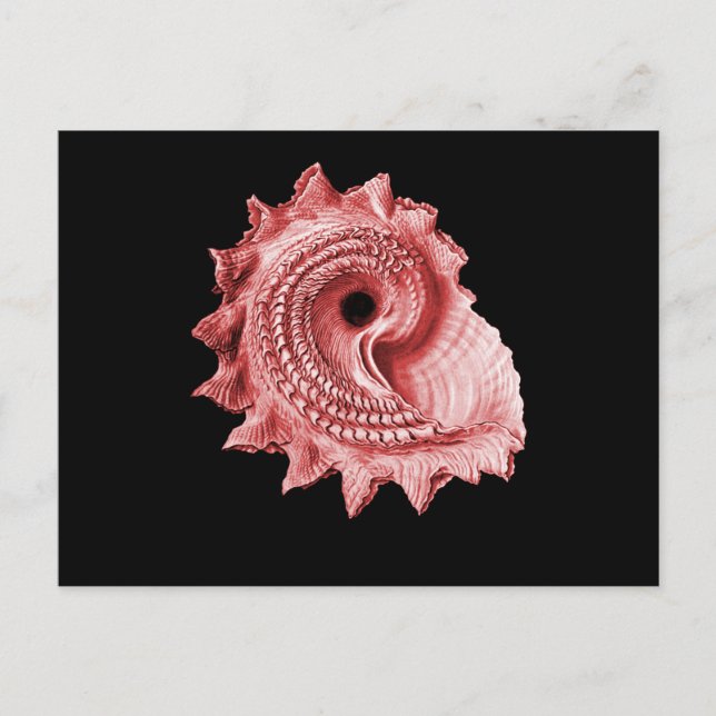 Postal Heliotropium de Astraea (Anverso)