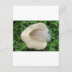 Postal Hellbraune Feder auf hellbeigem Blatt