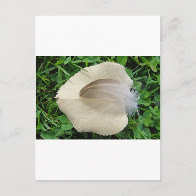 Postal Hellbraune Feder auf hellbeigem Blatt (Anverso)