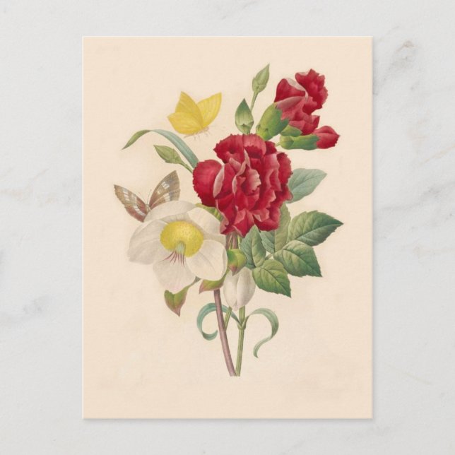 Postal Hellebores y Carnations de Pierre-Joseph Redouté (Anverso)