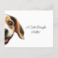 Hello Cute Funny Beagle Dog Modern Trendy