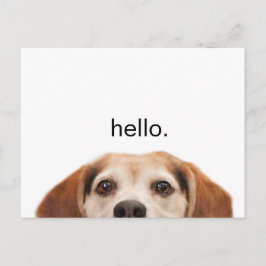 Postal Hello Cute Funny Beagle Dog Modern Trendy Blank