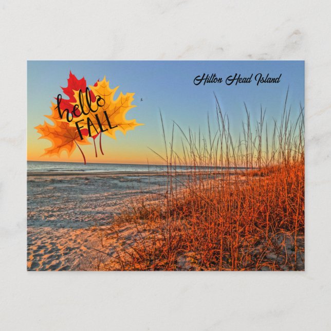 Postal Hello Fall Hilton Head Island Beach South Carolina (Anverso)
