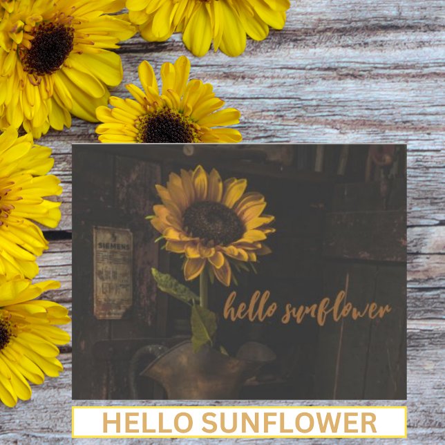 Postal Hello Sunflower Vintage (Subido por el creador)