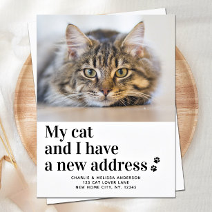 Postal Hemos Mudado nueva dirección Mascota de foto gatos