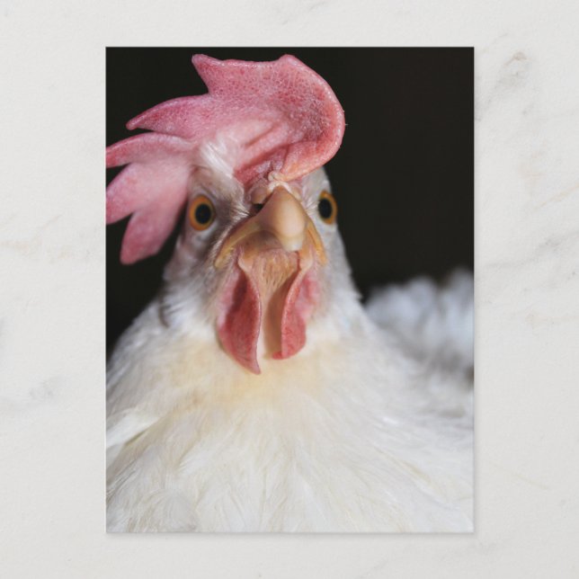 Postal Hen (Anverso)