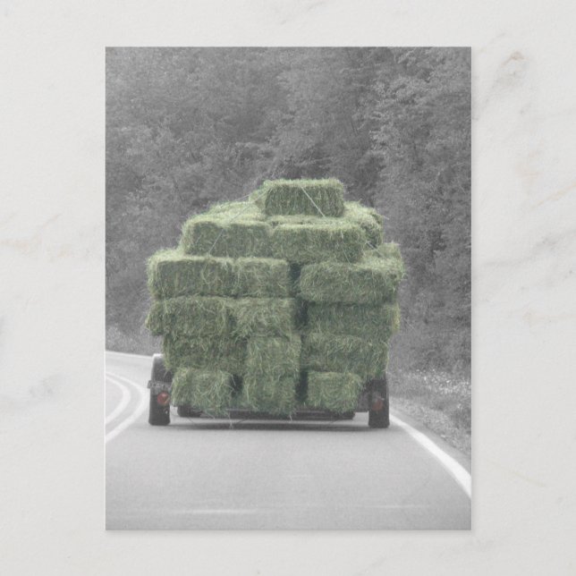 Postal ¡Heno allí! (Anverso)